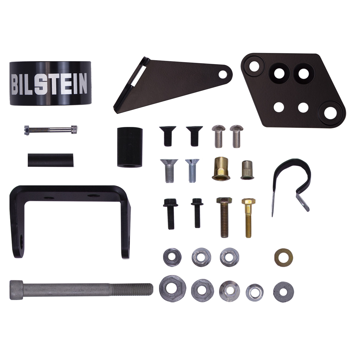 Bilstein 25-287813 B8 8100 (Bypass) - Suspension Shock Absorber